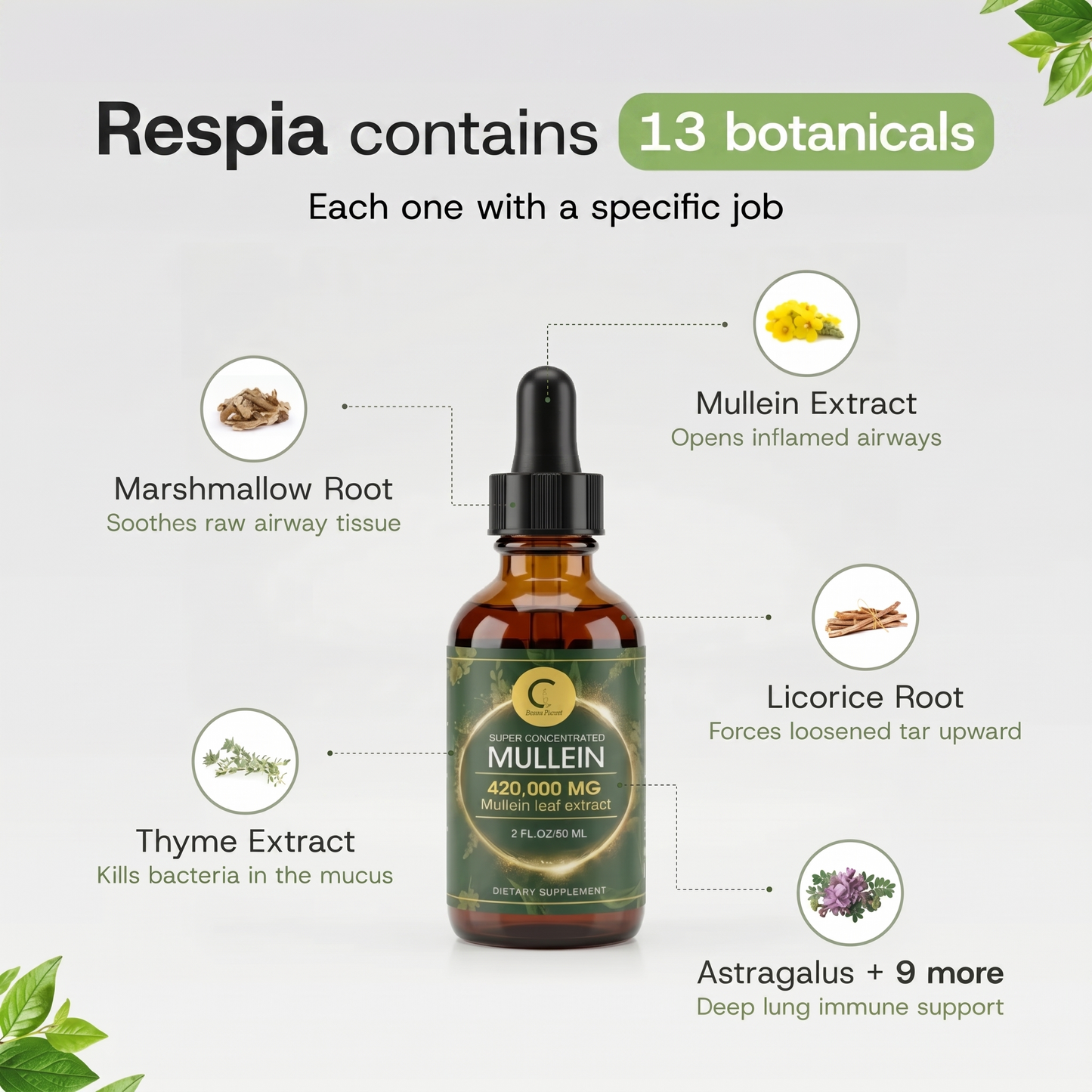 Maximum Strength Mullein Drops | Respia