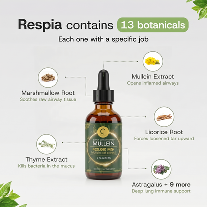 Maximum Strength Mullein Drops | Respia