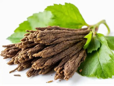 Marshmallow Root